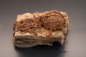 12. Ein Wollknäuel aus Roswinkel, ca. 800–600 v. Chr.